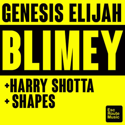Blimey album by Harry Shotta, Genesis Elijah & Shapes - Drum and Bass Cover Art