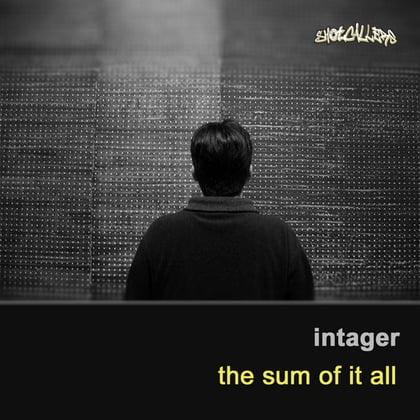 The Sum of It All album by Intager - Drum and Bass Cover Art