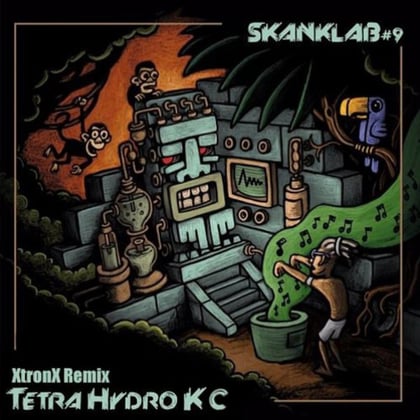 Tetrahydrok - C (Xtronx Remix) album by XtronX - Drum and Bass Cover Art