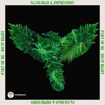 Part Of Me / Do It Right album by nCamargo - Drum and Bass Cover Art