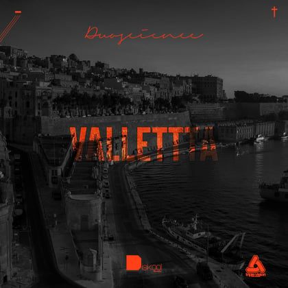 Valletta (Original) album by Duoscience - Drum and Bass Cover Art