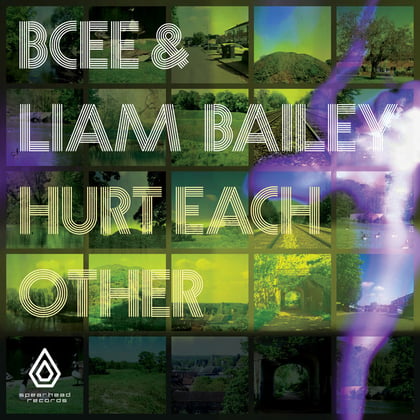 Hurt Each Other album by BCee - Drum and Bass Cover Art