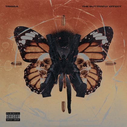 THE BUTTERFLY EFFECT album by Trigga - Drum and Bass Cover Art