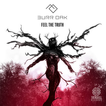 Feel The Truth album by Burr Oak - Drum and Bass Cover Art