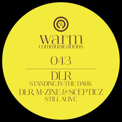 Standing In The Dark album by Alix Perez & DLR - Drum and Bass Cover Art