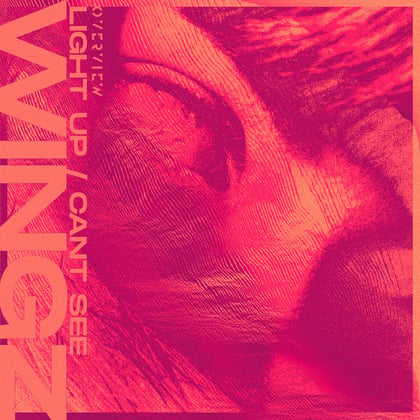 Light Up / Can't See album by Wingz - Drum and Bass Cover Art