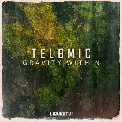 Gravity Within album by Telomic - Drum and Bass Cover Art