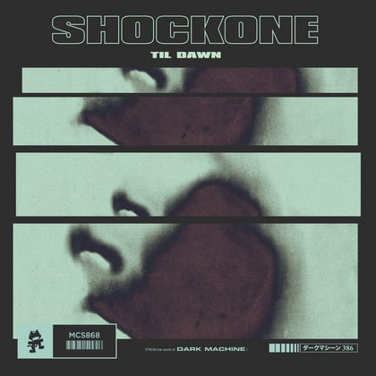 Til Dawn album by ShockOne - Drum and Bass Cover Art
