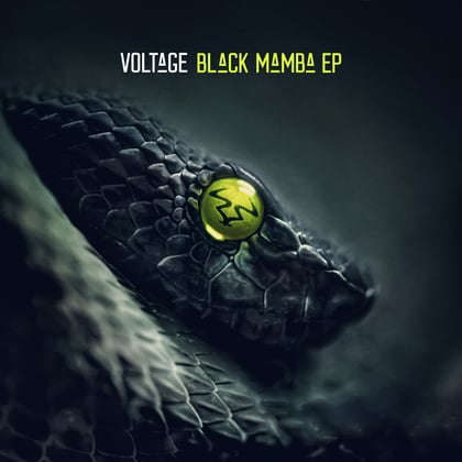Black Mamba album by Dr Meaker & Voltage - Drum and Bass Cover Art