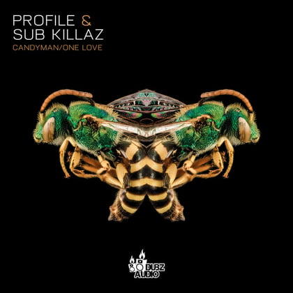 Candy Man / One Love album by AC13, Profile & Sub Killaz - Drum and Bass Cover Art