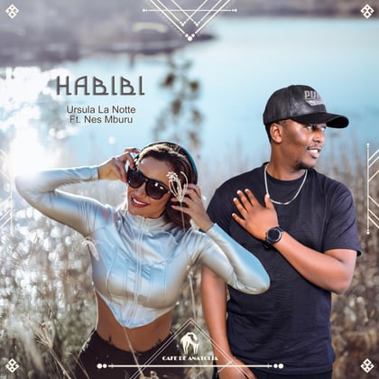 Habibi album by Tengu, Ursula La Notte & Cafe De Anatolia - Drum and Bass Cover Art