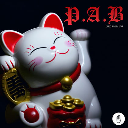 P.A.B album by Lynx - Drum and Bass Cover Art