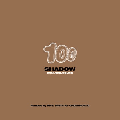 The Shadow (Process Mix) / The Shadow (Bing Here Mix) album by Goldie - Drum and Bass Cover Art