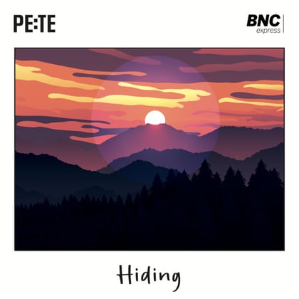 Hiding album by Pe:te - Drum and Bass Cover Art