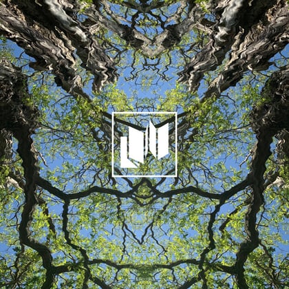 Bubbling album by Ackroyd - Drum and Bass Cover Art