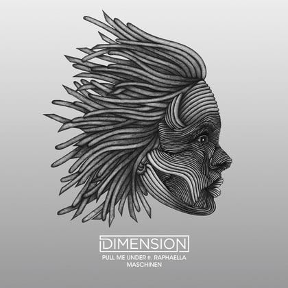 Pull Me Under / Maschinen album by Dimension - Drum and Bass Cover Art