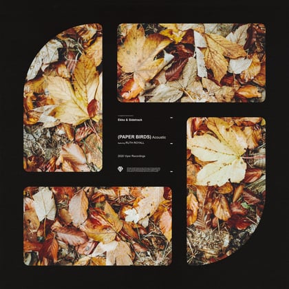 Paper Birds (Acoustic) album by Ekko & Sidetrack & Ruth Royall - Drum and Bass Cover Art