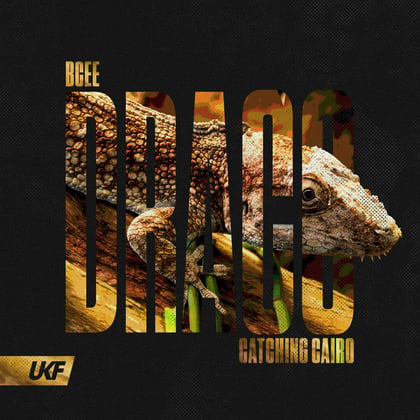 Draco album by Koven, BCee & Catching Cairo - Drum and Bass Cover Art