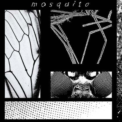 Mosquito album by latesleeper - Drum and Bass Cover Art