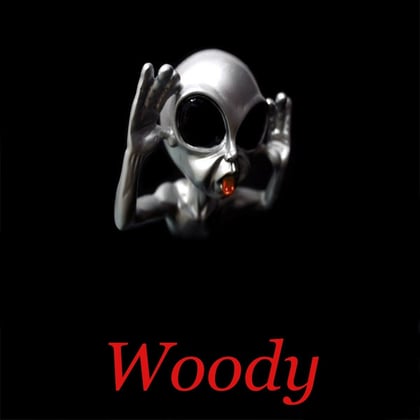 Musikaifi album by Woody - Drum and Bass Cover Art