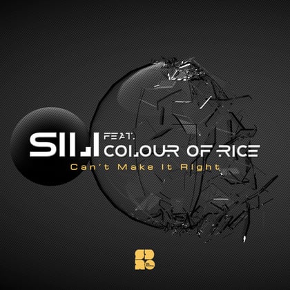 Can't Make It Right album by SiLi - Drum and Bass Cover Art
