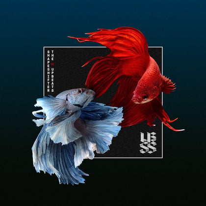SSXUB (Shapeshifter vs The Upbeats) album by Terminus, Shapeshifter, The Upbeats & Shapeshifter, The Upbeats - Drum and Bass Cover Art