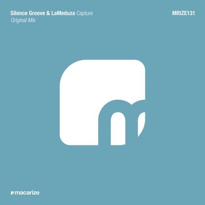 Capture album by Vibe Chemistry, Silence Groove & LaMeduza - Drum and Bass Cover Art