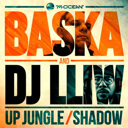 Up Jungle/Shadow album by Baska - Drum and Bass Cover Art