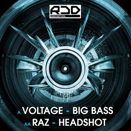 Big Bass / Headshot album by Dr Meaker, Voltage & Raz - Drum and Bass Cover Art