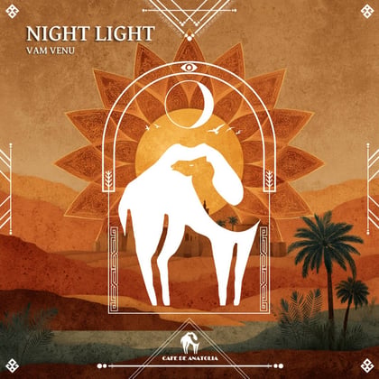 Night Light album by Tengu, Vam Venu & Cafe De Anatolia - Drum and Bass Cover Art
