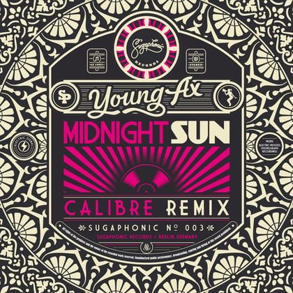 Midnight Sun album by Young Ax & Kryptic Minds - Drum and Bass Cover Art