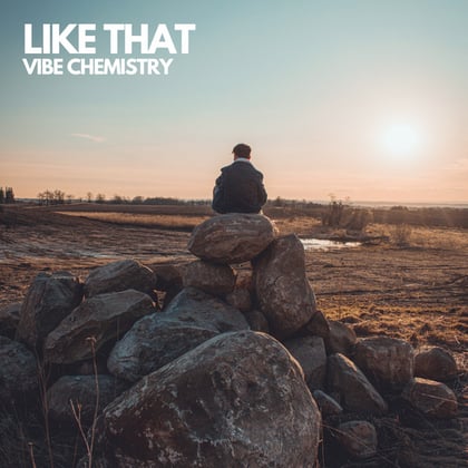 Like That album by Vibe Chemistry - Drum and Bass Cover Art