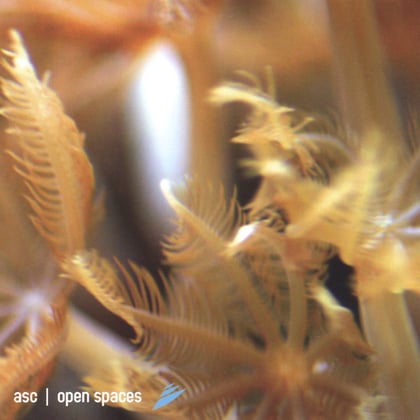 Open Spaces album by ASC - Drum and Bass Cover Art