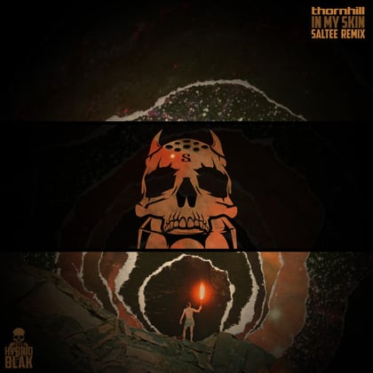 Thornhill - In My Skin (Saltee Remix) album by Saltee - Drum and Bass Cover Art