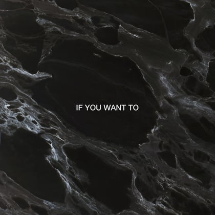 If You Want To (Dimension Remix) album by Dimension - Drum and Bass Cover Art