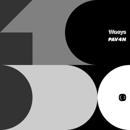 Vision album by Waeys & PAV4N - Drum and Bass Cover Art