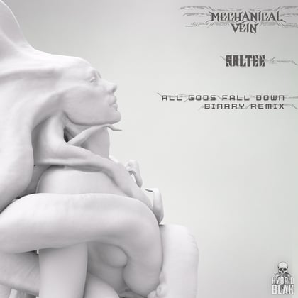 All Gods Fall Down (Binary Remix) album by Saltee - Drum and Bass Cover Art