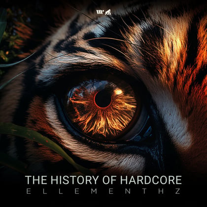 The History Of Hardcore album by Ellementhz - Drum and Bass Cover Art