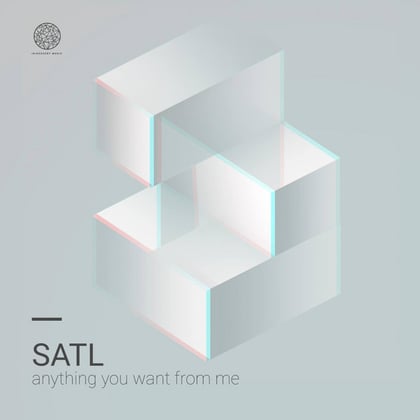 Anything You Want From Me EP album by Satl - Drum and Bass Cover Art