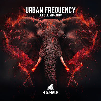 Let See Vibration album by Urban Frequency - Drum and Bass Cover Art
