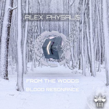 From The Woods album by Alex Physalis - Drum and Bass Cover Art