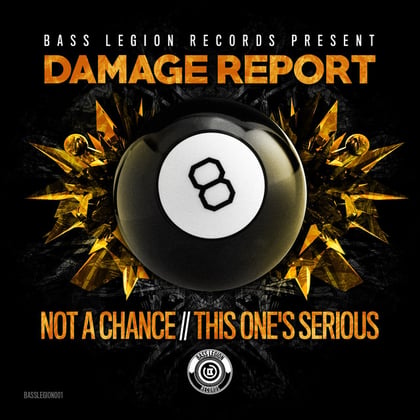 Not A Chance / This One's Serious album by Damage Report - Drum and Bass Cover Art