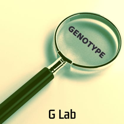 Magnify album by Genotype - Drum and Bass Cover Art