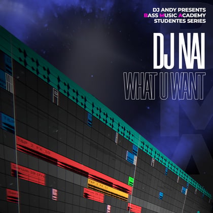 What U Want album by DJ Nai - Drum and Bass Cover Art