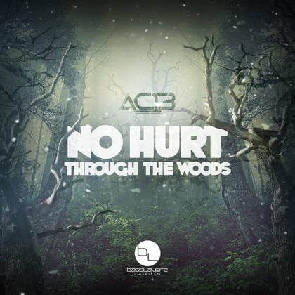 No Hurt/Through The Woods album by AC13 - Drum and Bass Cover Art