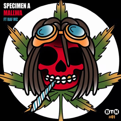 Mallwa album by Specimen A - Drum and Bass Cover Art