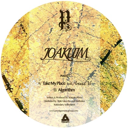 Take My Place / Algorithm (Original) album by Joakuim - Drum and Bass Cover Art