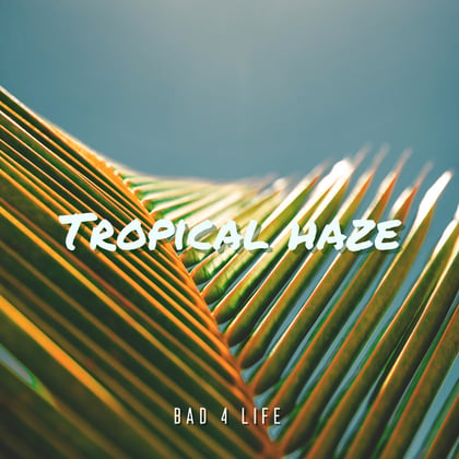 Tropical haze album by MSDOS & Bad 4 Life - Drum and Bass Cover Art
