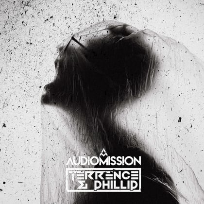 Swarm album by Terrence & Phillip & Audiomission - Drum and Bass Cover Art