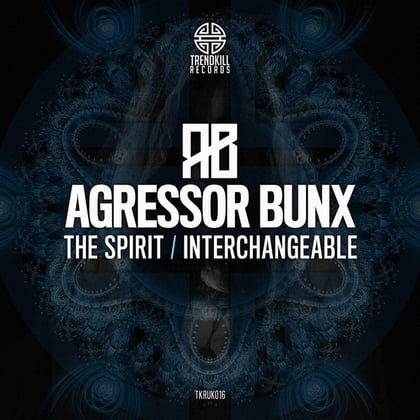 The Spirit / Interchangeable album by Agressor Bunx - Drum and Bass Cover Art
